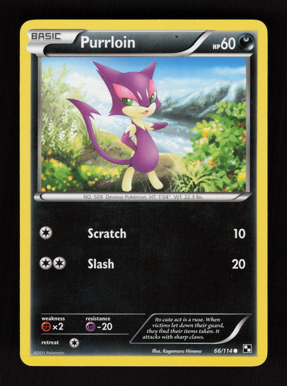 Purrloin 66/114 - Black & White