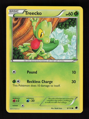 Treecko 6/116 - Plasma Freeze