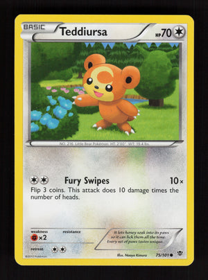Teddiursa 75/101 - Plasma Blast