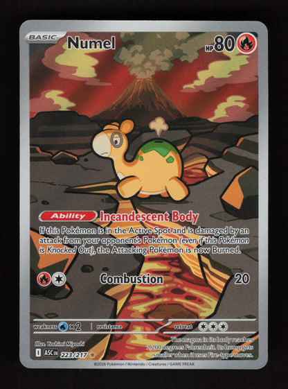 Numel 223/217 - Illustration Rare - Ascended Heroes