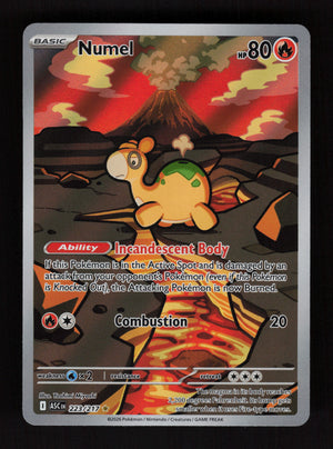 Numel 223/217 - Illustration Rare - Ascended Heroes