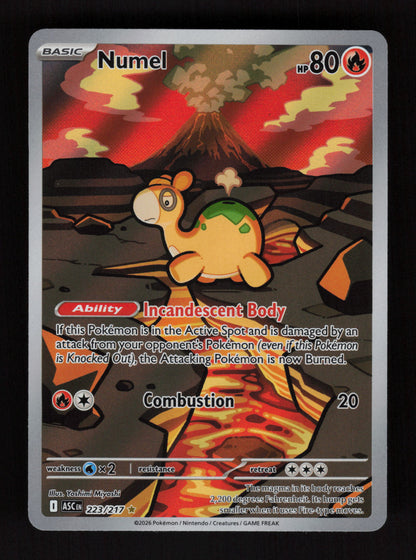 Numel 223/217 - Illustration Rare - Ascended Heroes