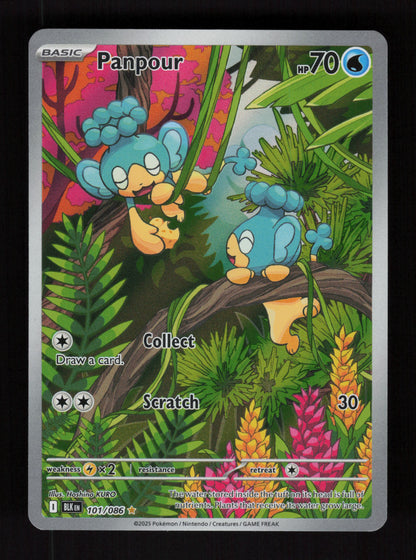 Panpour 101/086 - Illustration Rare - Black Bolt