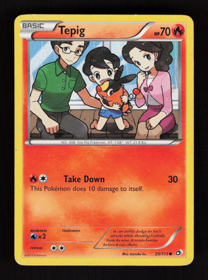 Tepig 25/113 - Legendary Treasures