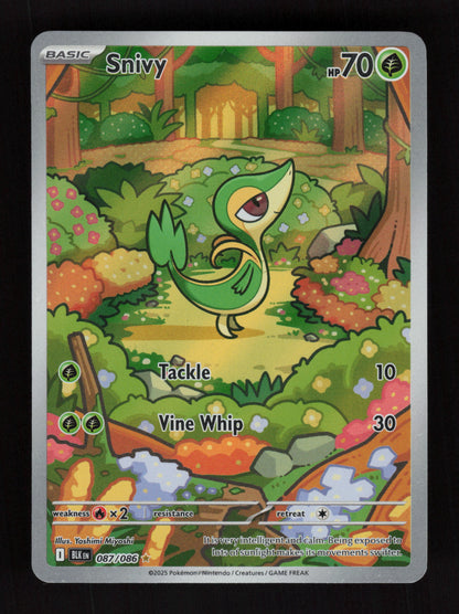 Snivy 087/086 - Illustration Rare - Black Bolt