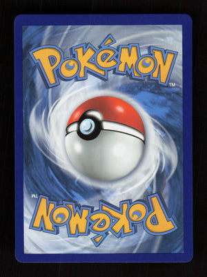 Blaziken VMAX 200/198 - Secret Rainbow Rare - Chilling Reign