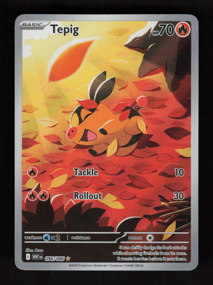 Tepig 096/086 - Illustration Rare - White Flare