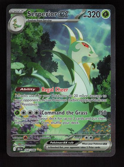 Serperior ex 164/086 - Special Illustration Rare - Black Bolt