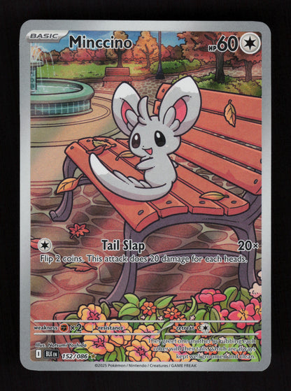 Minccino 152/086 - Illustration Rare - Black Bolt