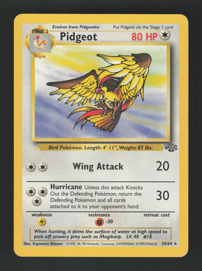 Pidgeot 24/64 - Jungle
