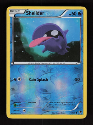 Shellder 31/146 - Reverse Holo - XY