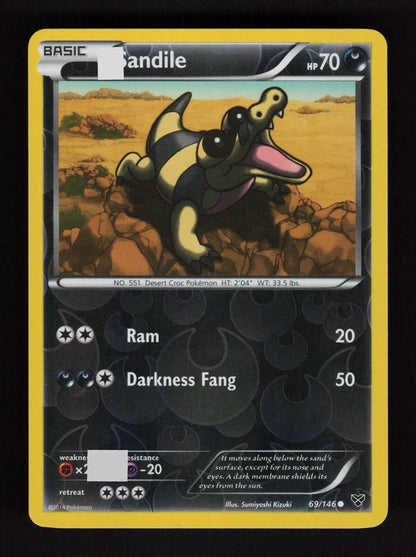 Sandile 69/146 - Reverse Holo - XY
