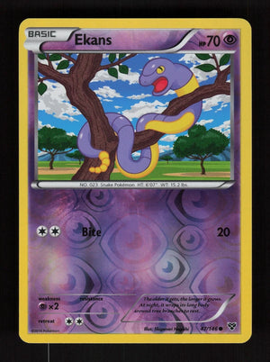Ekans 47/146 - Reverse Holo - XY