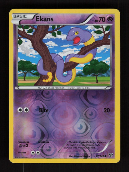 Ekans 47/146 - Reverse Holo - XY