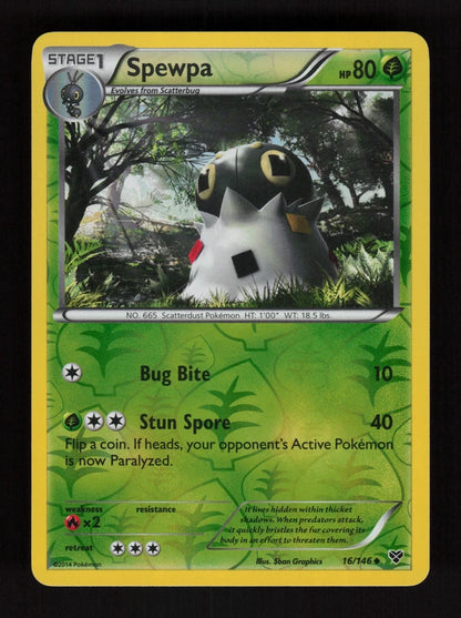 Spewpa 16/146 - Reverse Holo - XY