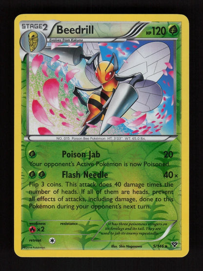 Beedrill 5/146 - Reverse Holo - XY