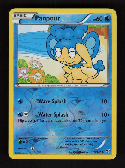 Panpour 37/146 - Reverse Holo - XY