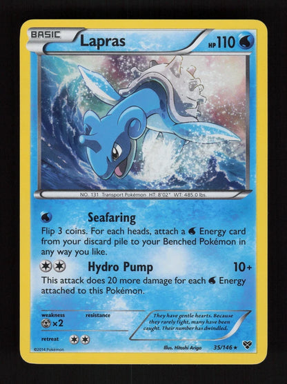 Lapras 35/146 - Holo - XY