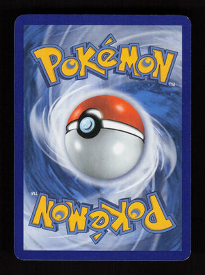 Beedrill 5/146 - Reverse Holo - XY