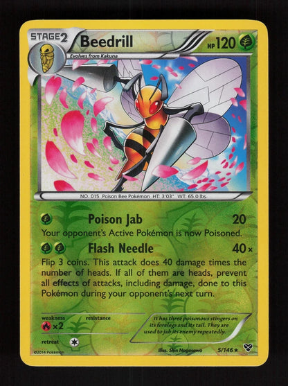Beedrill 5/146 - Reverse Holo - XY