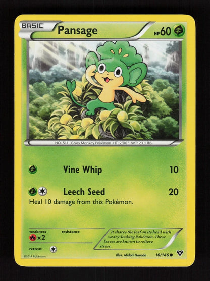 Pansage 10/146 - XY