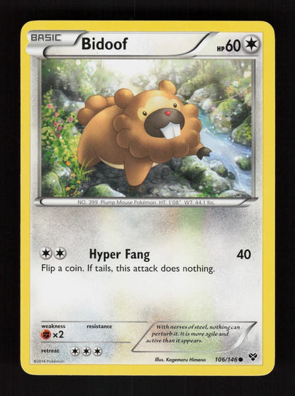 Bidoof 106/146 - XY