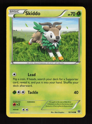Skiddo 18/146 - XY