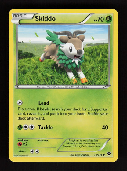 Skiddo 18/146 - XY