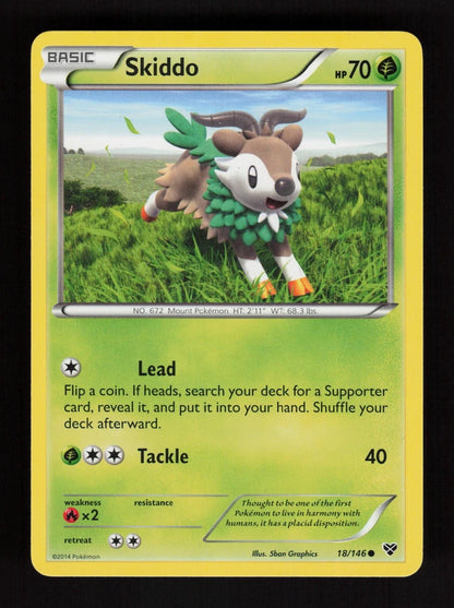 Skiddo 18/146 - XY