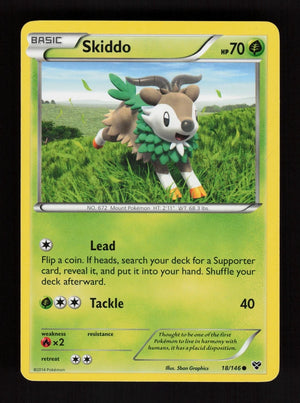 Skiddo 18/146 - XY
