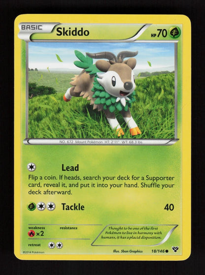 Skiddo 18/146 - XY