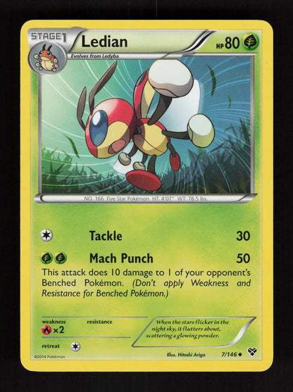 Ledian 7/146 - XY