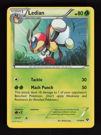 Ledian 7/146 - XY
