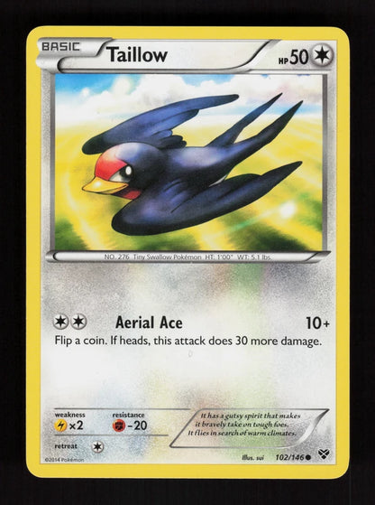 Taillow 102/146 - XY