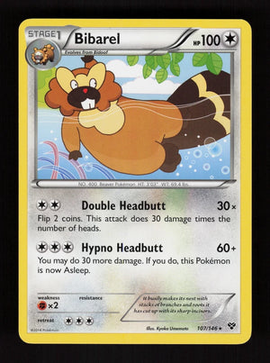 Bibarel 107/146 - XY
