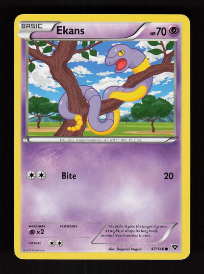 Ekans 47/146 - XY