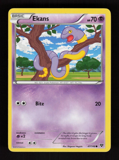 Ekans 47/146 - XY
