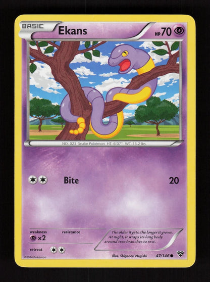 Ekans 47/146 - XY