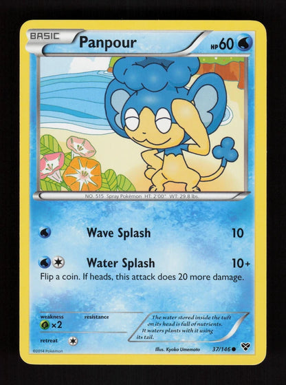 Panpour 37/146 - XY