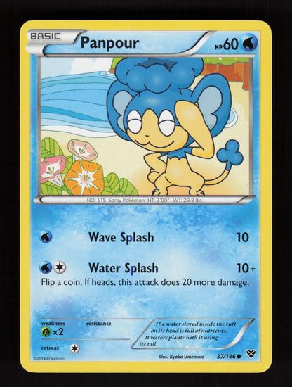 Panpour 37/146 - XY