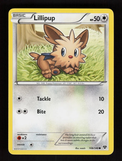 Lillipup 108/146 - XY