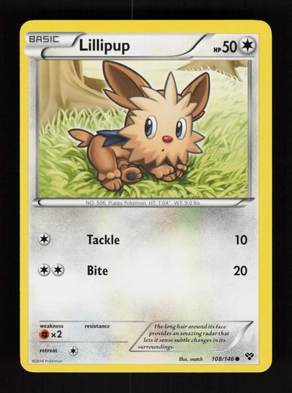 Lillipup 108/146 - XY