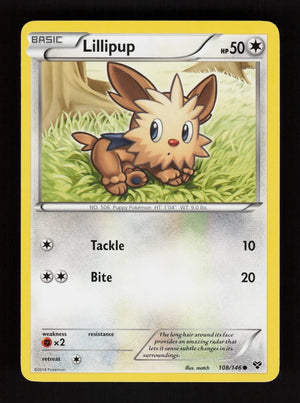 Lillipup 108/146 - XY