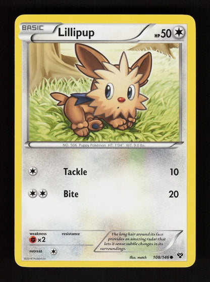 Lillipup 108/146 - XY