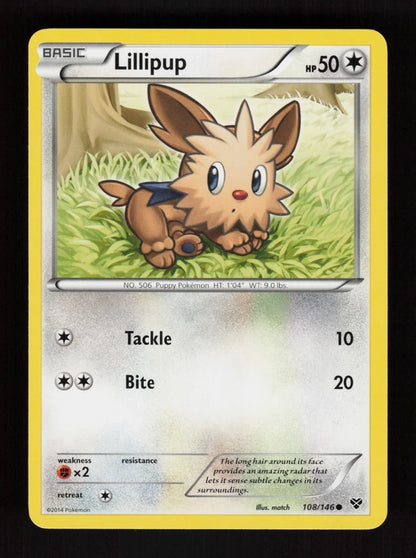 Lillipup 108/146 - XY