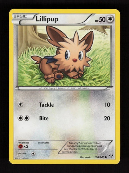 Lillipup 108/146 - XY