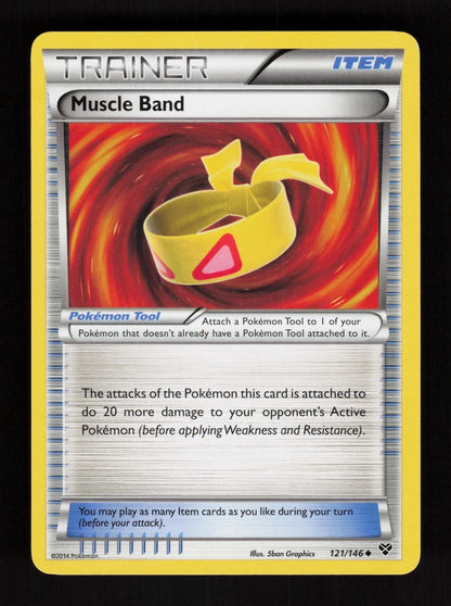 Muscle Band 121/146 - XY