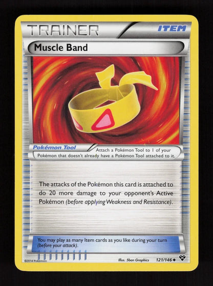 Muscle Band 121/146 - XY