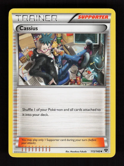 Cassius 115/146 - XY