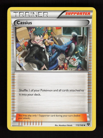 Cassius 115/146 - XY